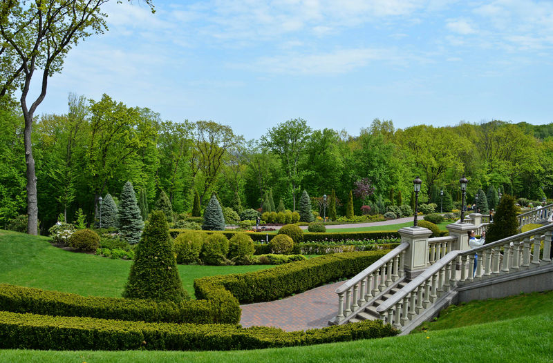 Результат пошуку зображень за запитом межигорье амфитеатр колоні"