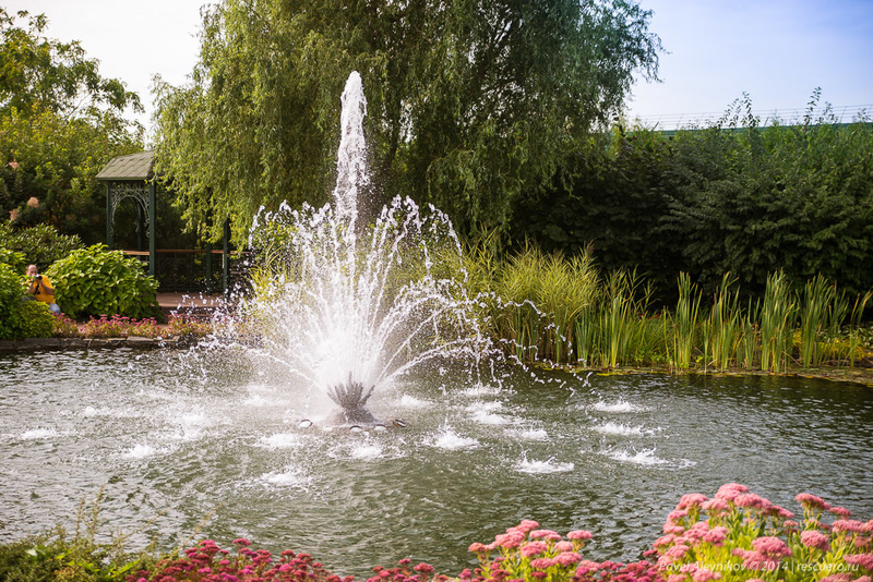 Результат пошуку зображень за запитом межигорье вонтан"