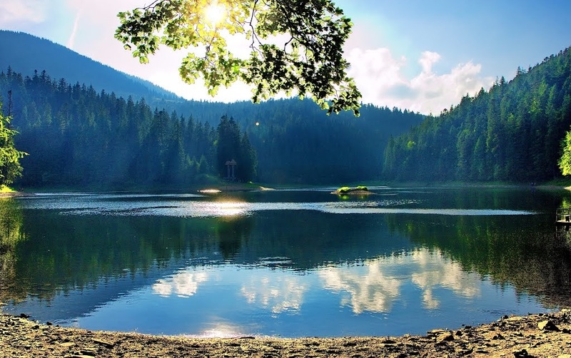 Результат пошуку зображень за запитом синевир"