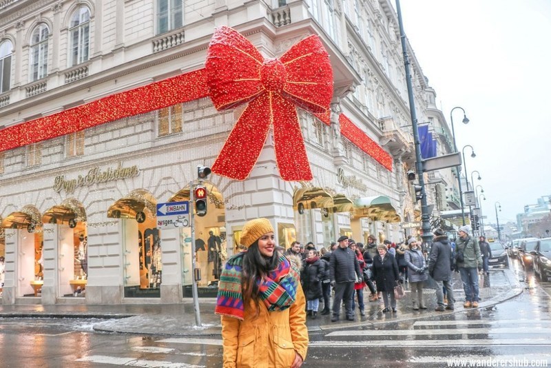 Результат пошуку зображень за запитом "vienna winter"